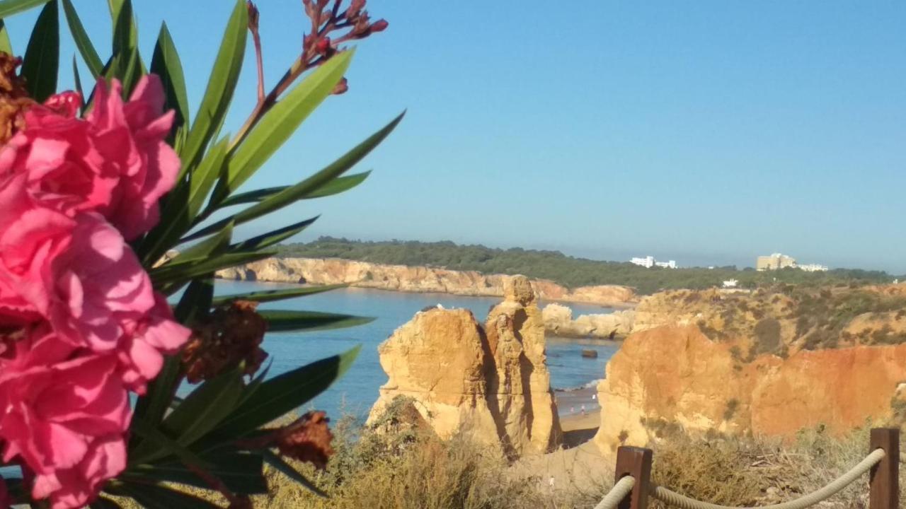 Albur Village B - Hyacinth Alvor Exterior foto